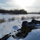 Illustration for article titled 18 Snowy Photographs That Will Make You Love Winter Again